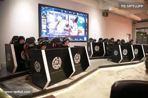 如何在电竞经理手游中选择最佳队伍打造顶级战队策略分析